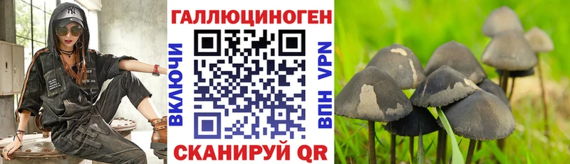 Псилоцибиновые грибы прущие грибы  Купить где  Фатеж 